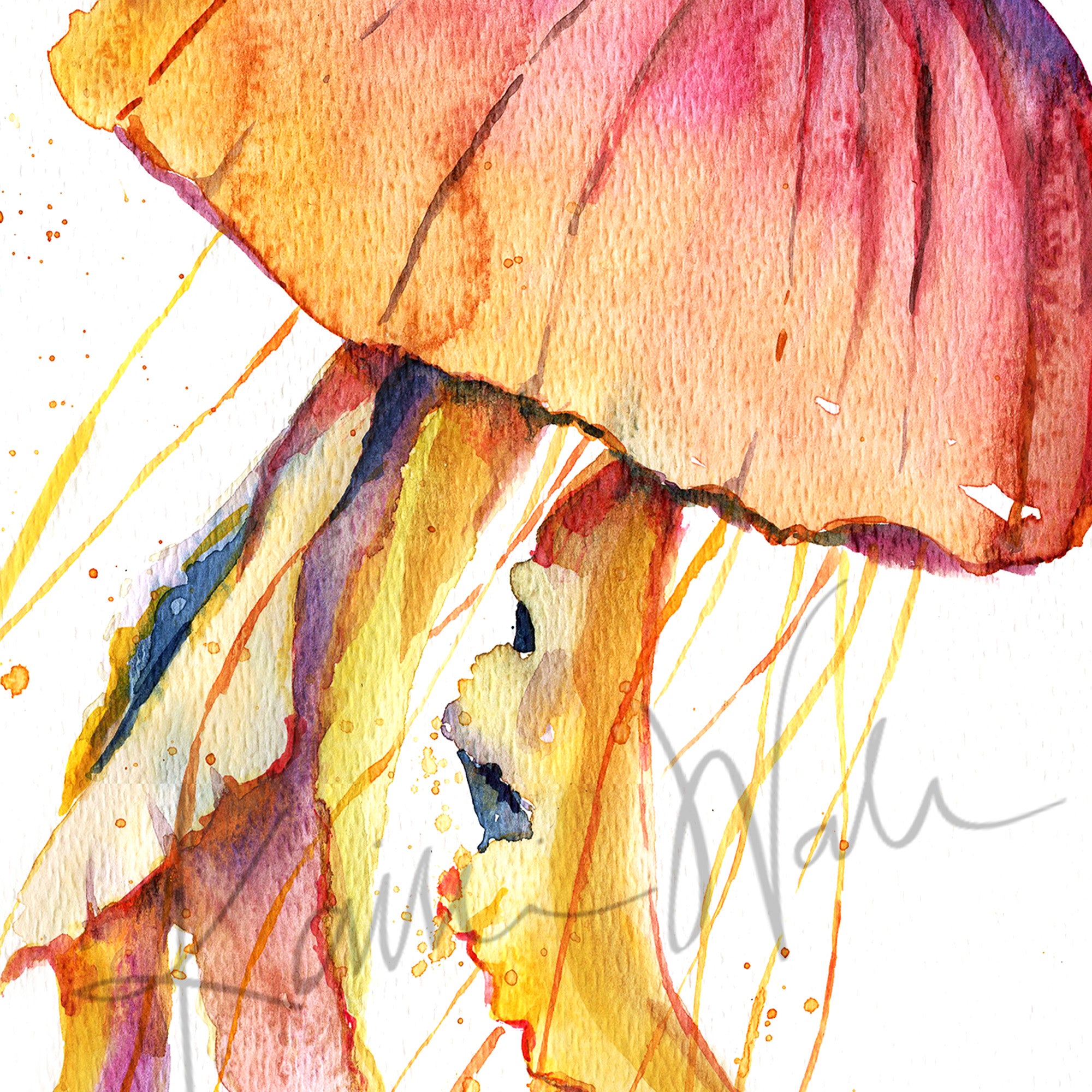 Colorful Jellyfish Watercolor Print