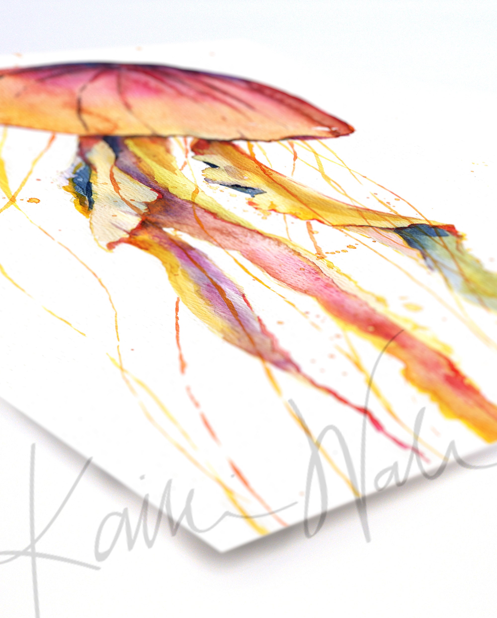 Colorful Jellyfish Watercolor Print
