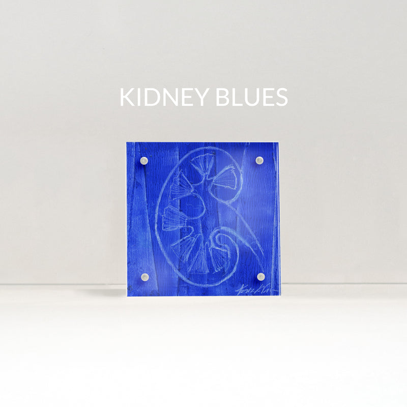small abstract kidney anatomy art