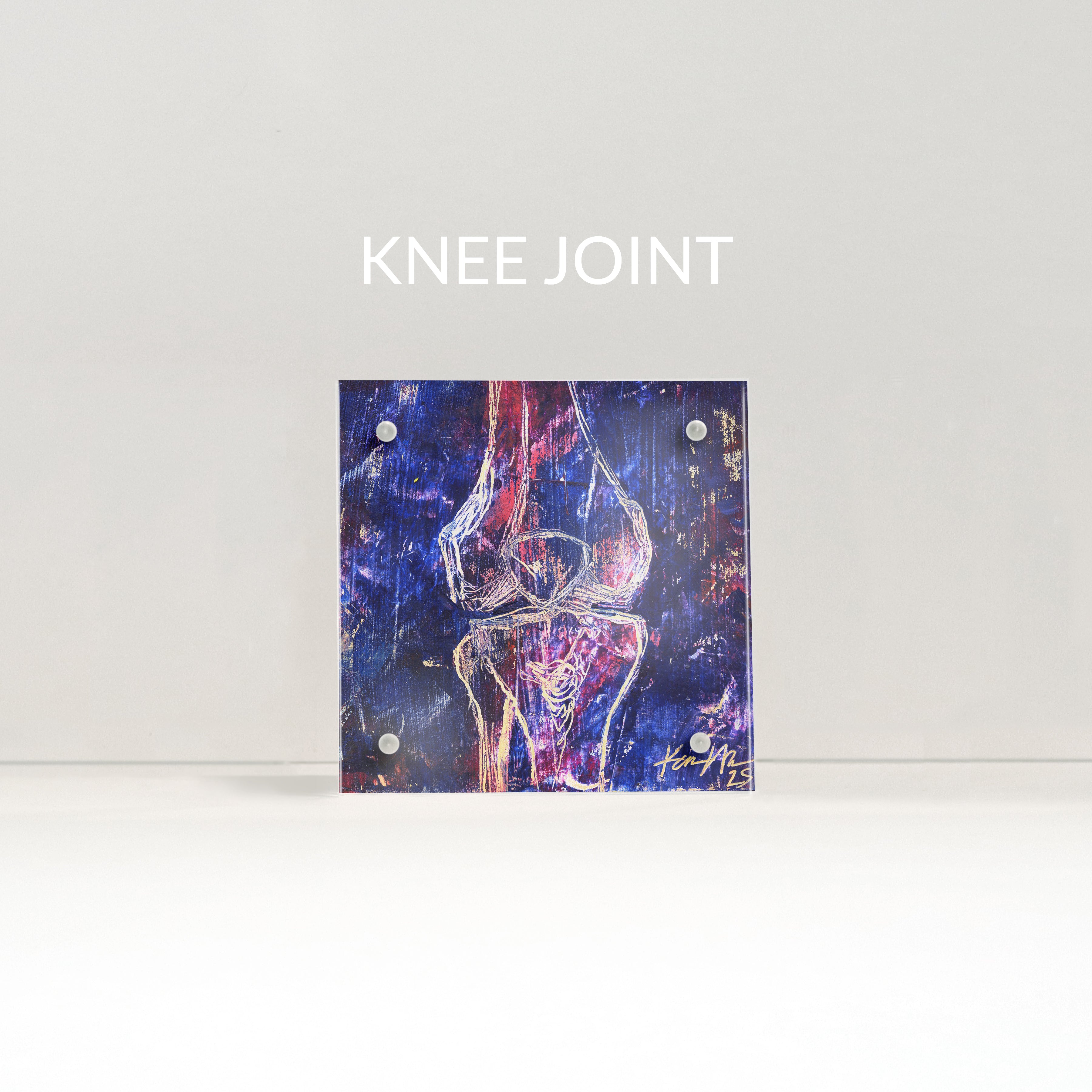 Bones and Joints Desktop Anatomy Art - Acrylic Framed Mini Print