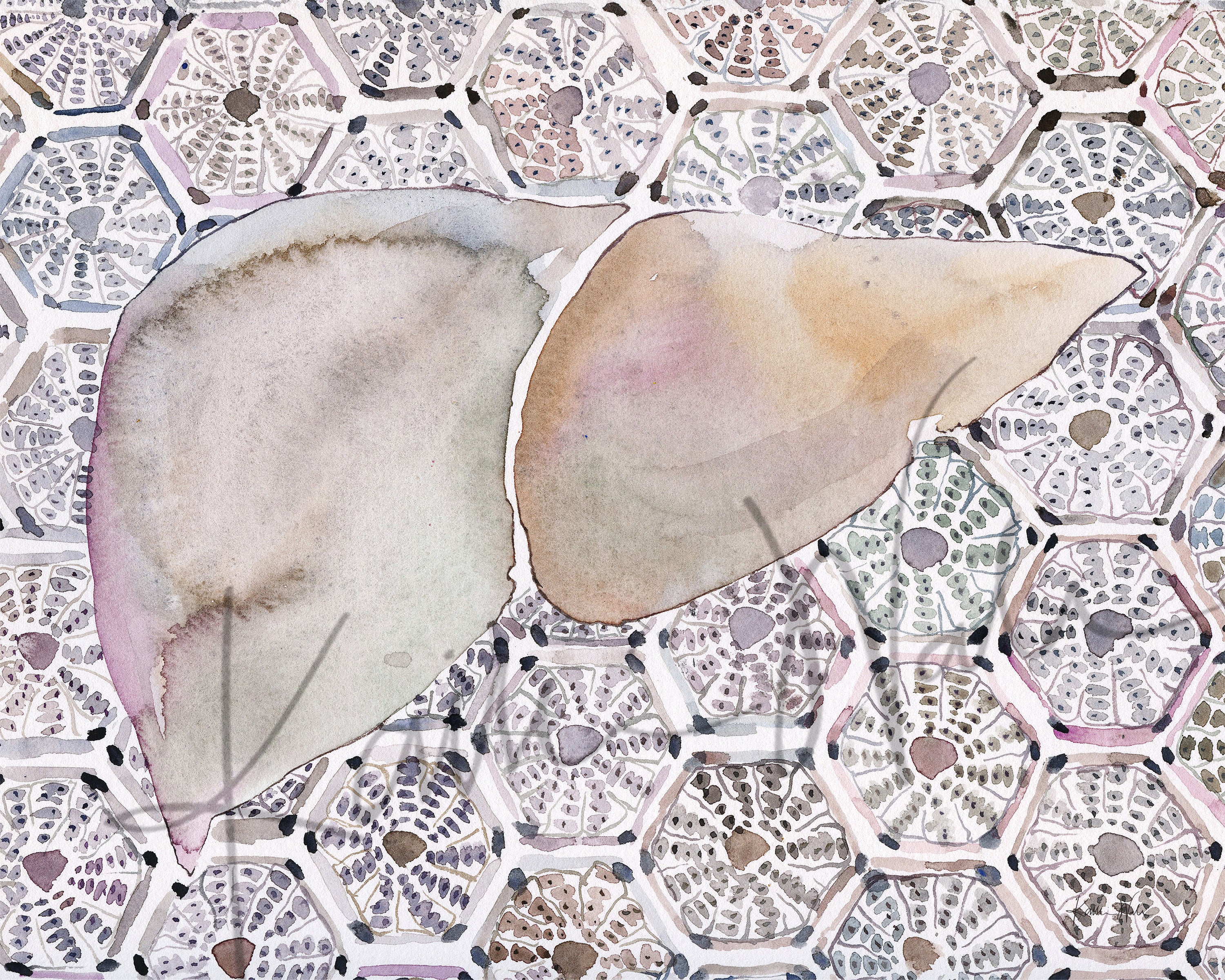 Liver Cell Patterns Watercolor Print