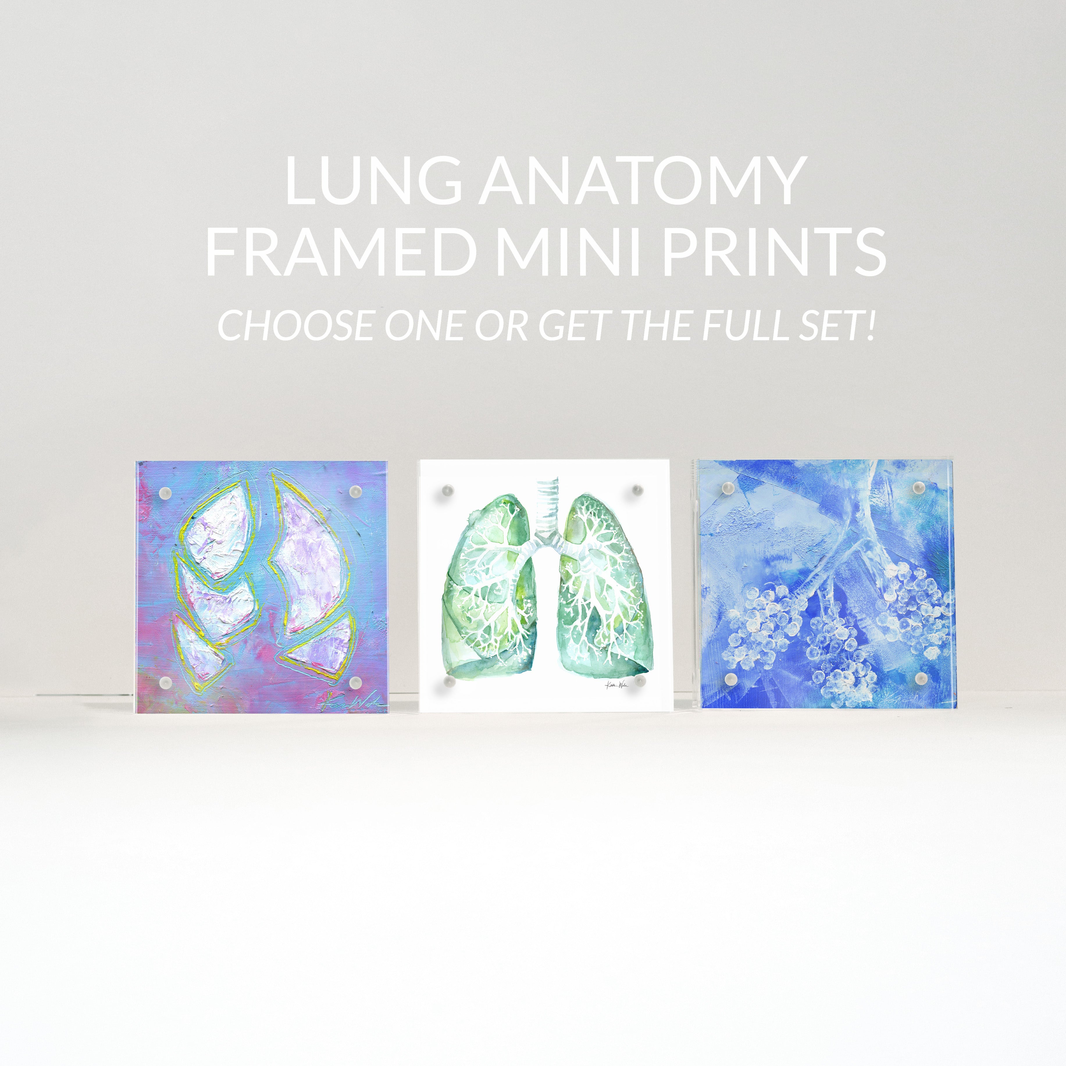 Lung Anatomy Desktop Art - Acrylic Framed Mini Print