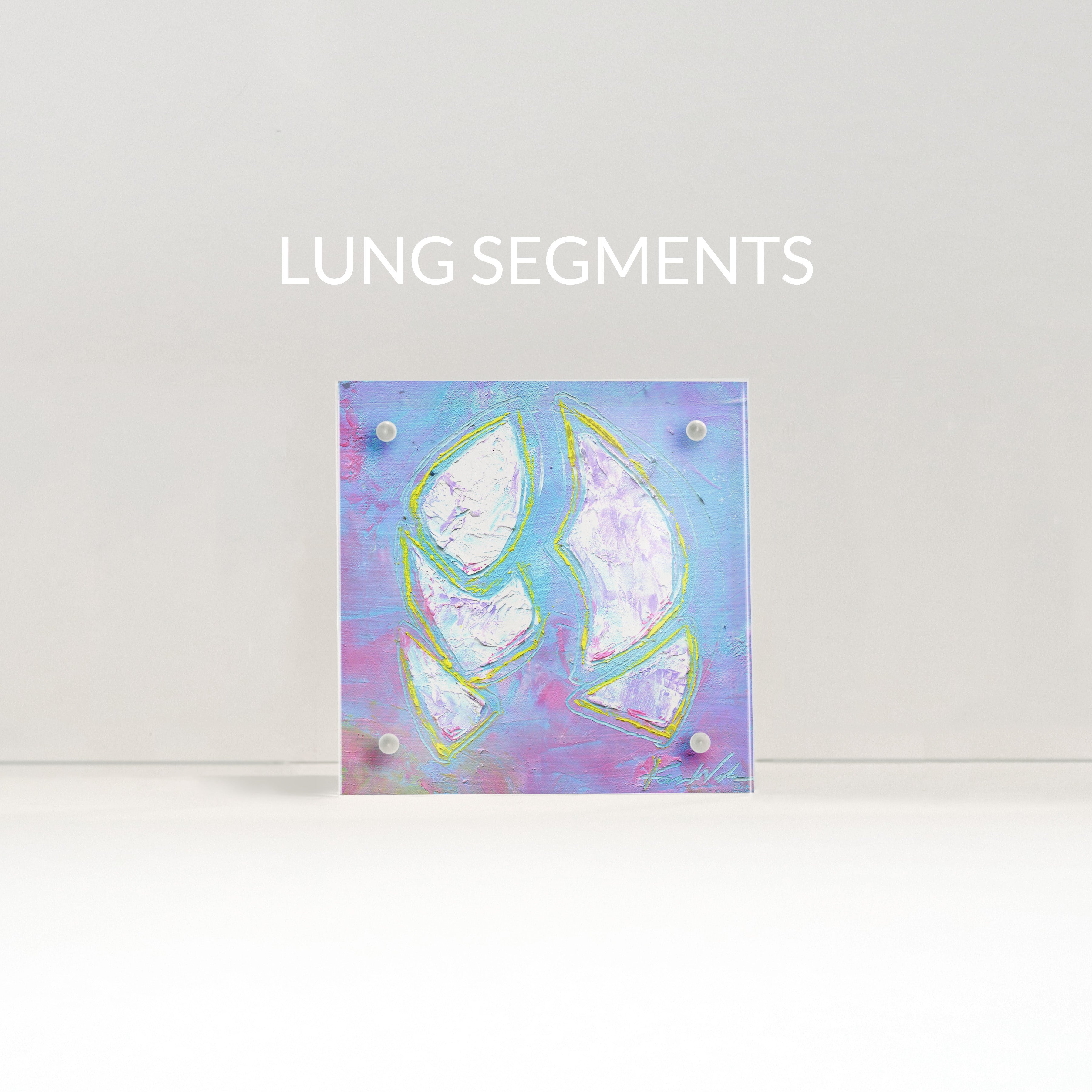 Lung Anatomy Desktop Art - Acrylic Framed Mini Print
