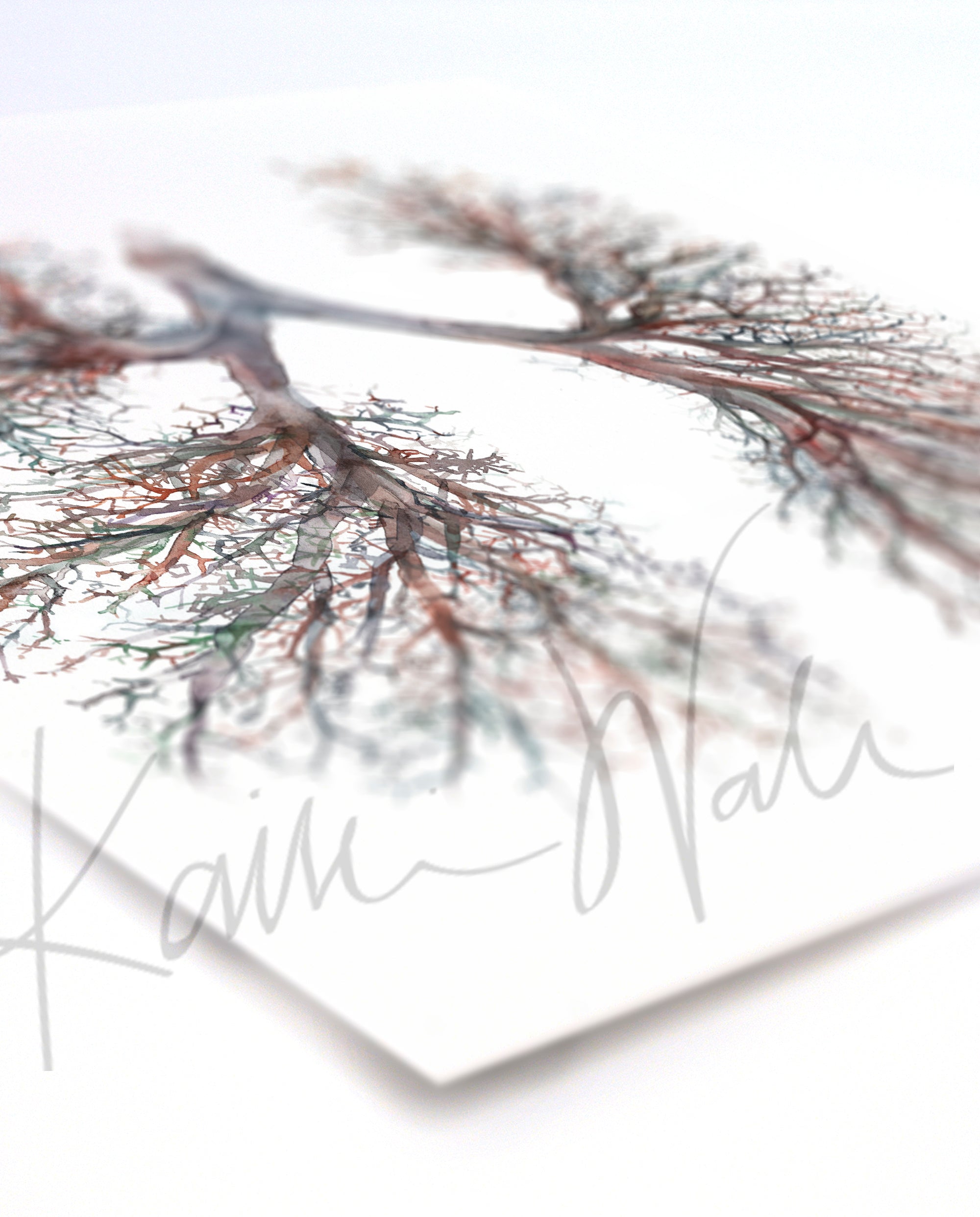 Lung and Bronchiole Watercolor Anatomy Art Print