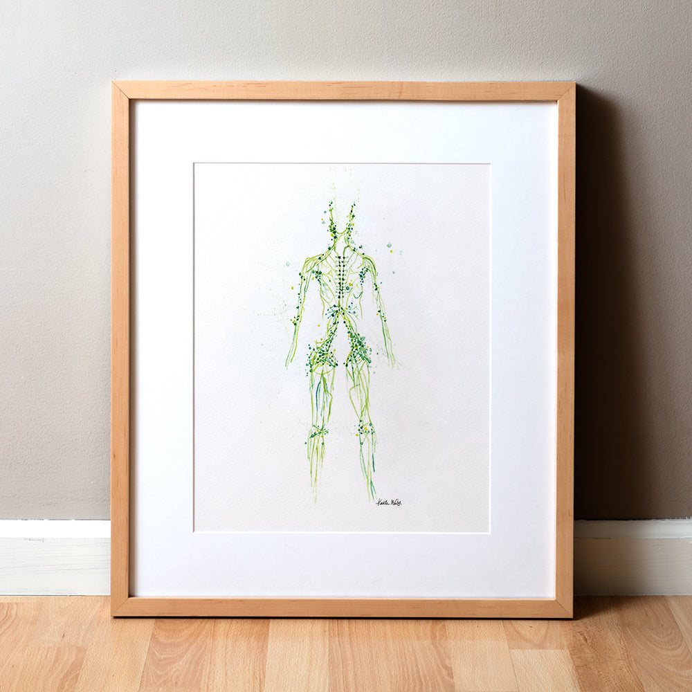 Framed anatomy artwork of a lymphatic system in the shape of a human body made of green on a white background