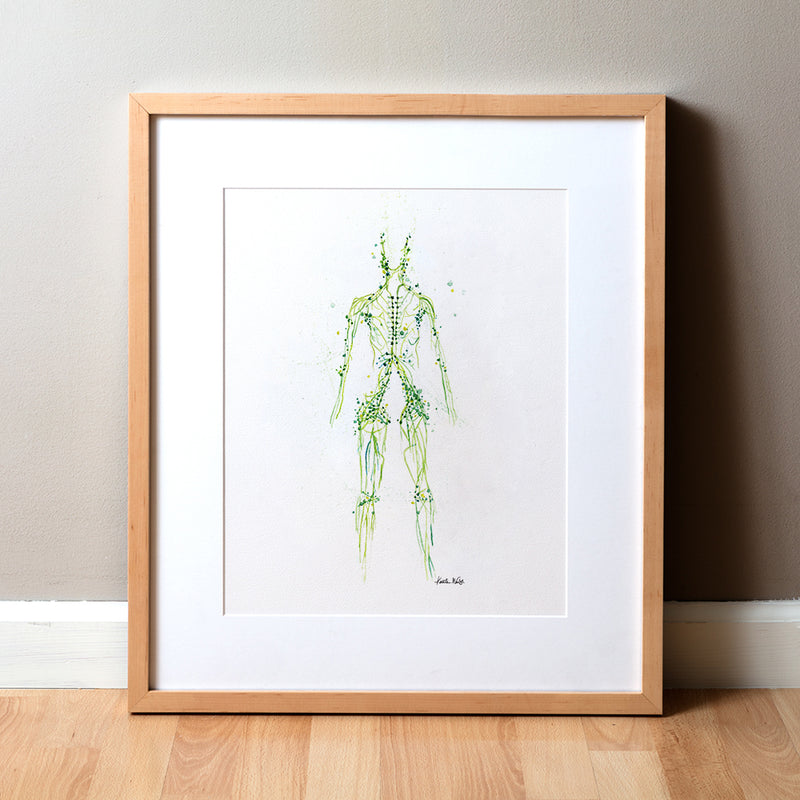 Framed anatomy artwork of a lymphatic system in the shape of a human body made of green on a white background
