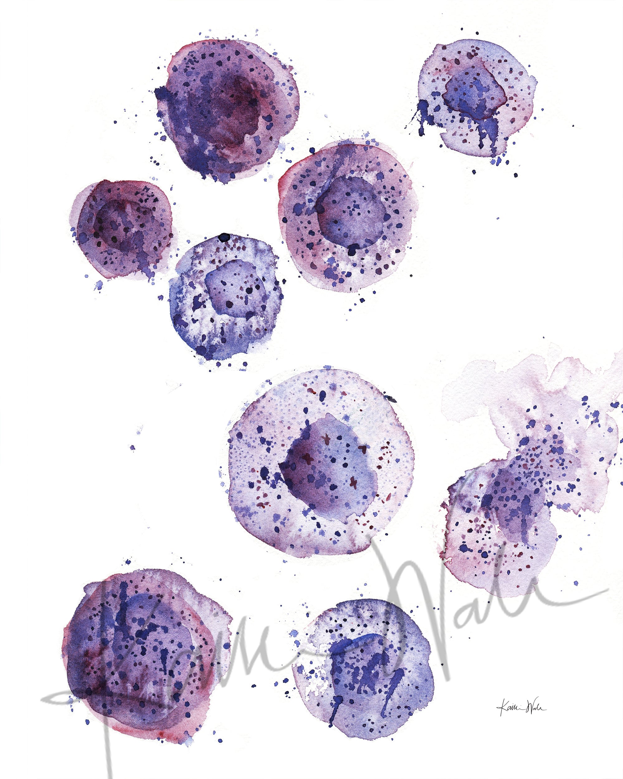Close up of watercolor print of mast cells