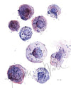 Mast Cells Watercolor Print