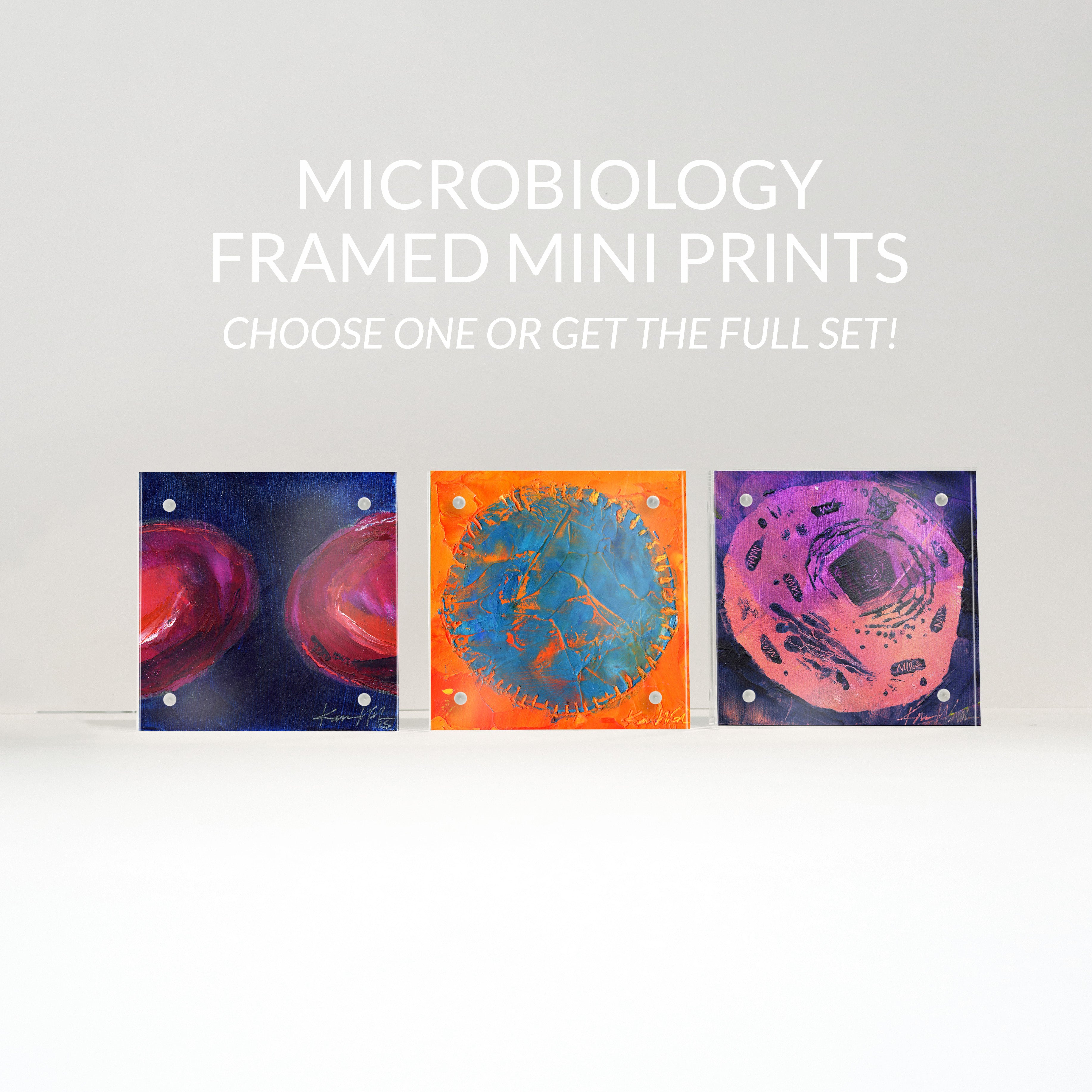 Three small desktop framed mini prints of abstract anatomy art that shows abstract microbiology fine art. A perfect gift for microbiologist or medical student or histology art.