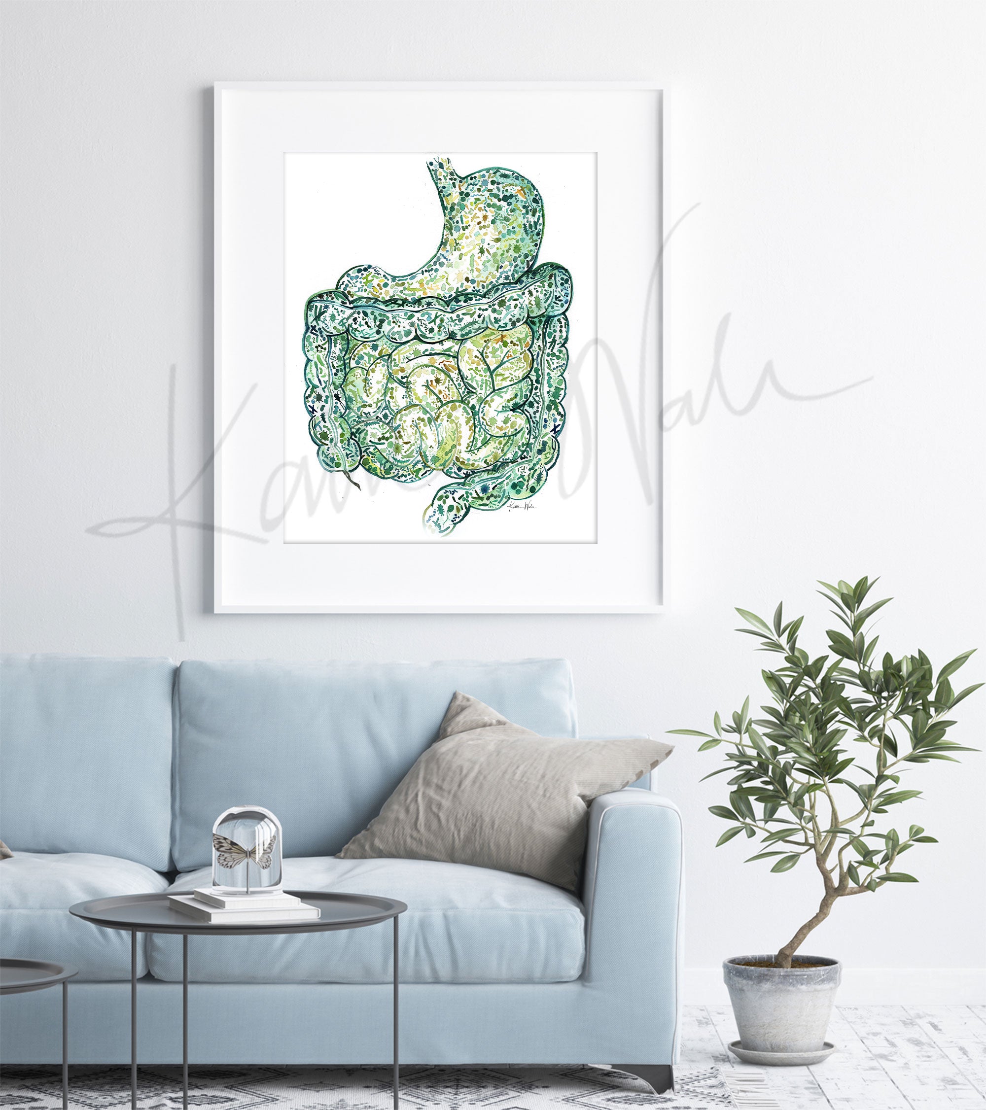 Framed watercolor painting of the stomach and intestines showing the internal gut microbiome. The painting is hanging over a blue couch.