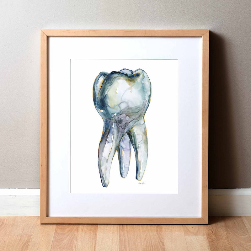 A watercolor anatomy art print of a three-root maxillary molar tooth, made for dentist office art or omfs clinic art