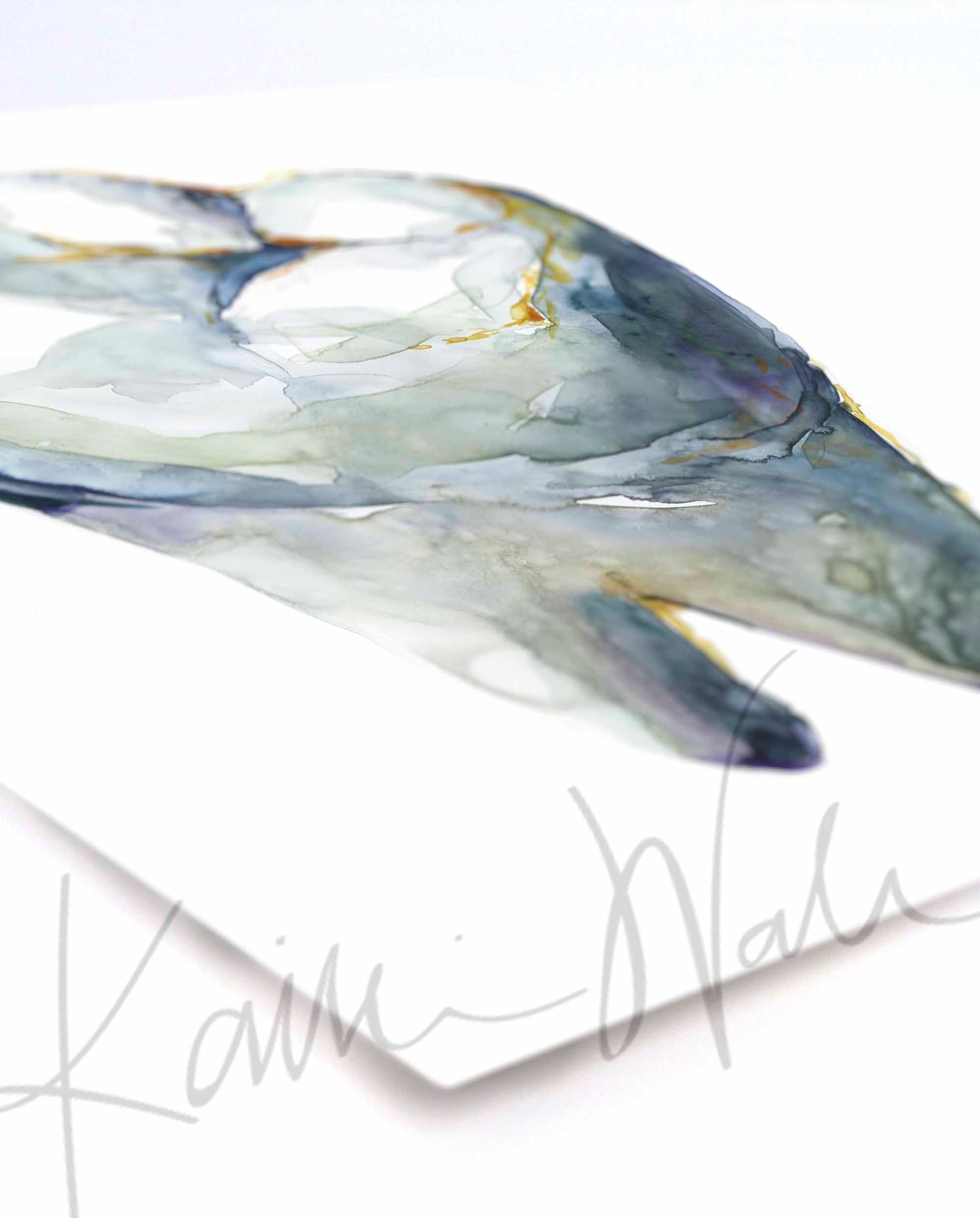 View of Occlusal Molar Watercolor Print