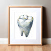 View of Occlusal Molar Watercolor Print
