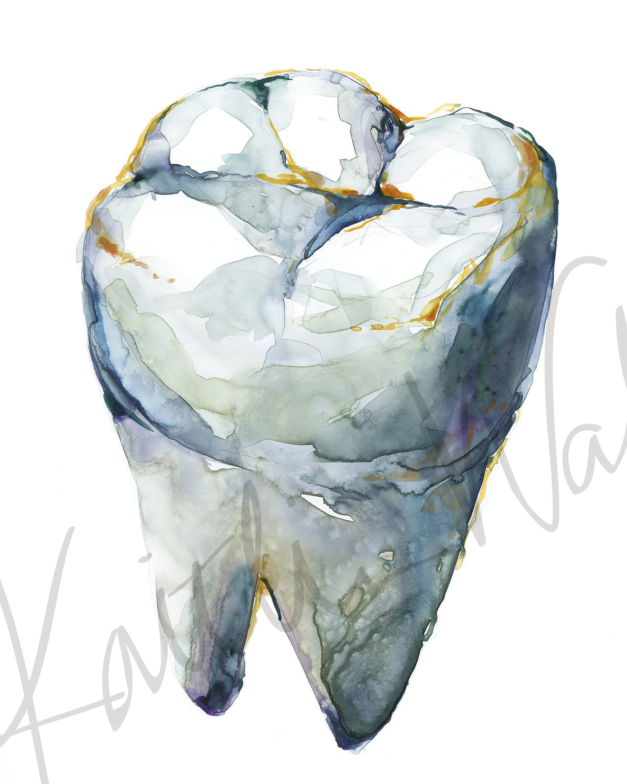 View of Occlusal Molar Watercolor Print