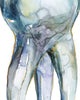 View of Lateral Molar Watercolor Print