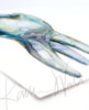 View of Lateral Molar Watercolor Print