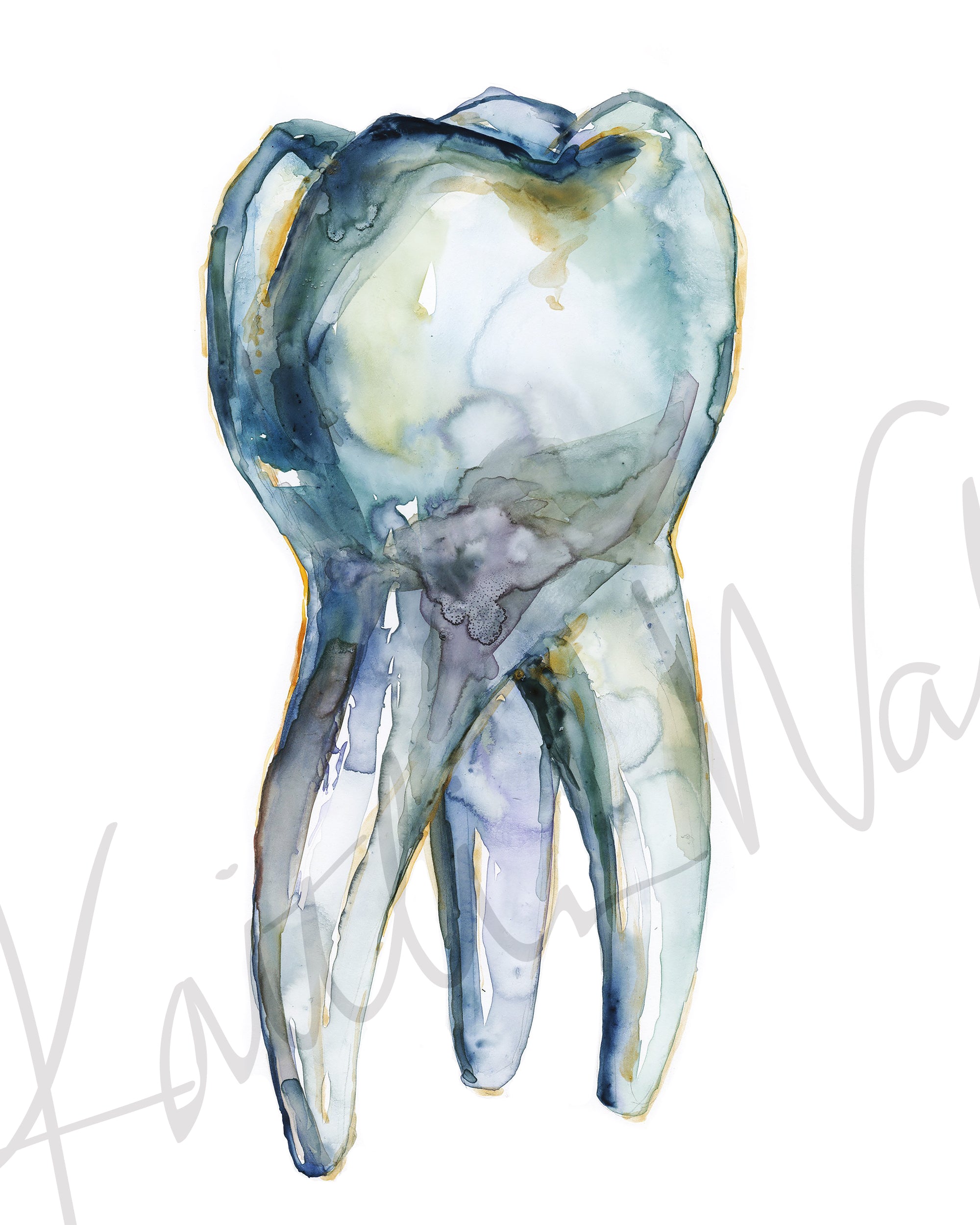 View of Lateral Molar Watercolor Print