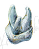 View of Roots Molar Watercolor Print