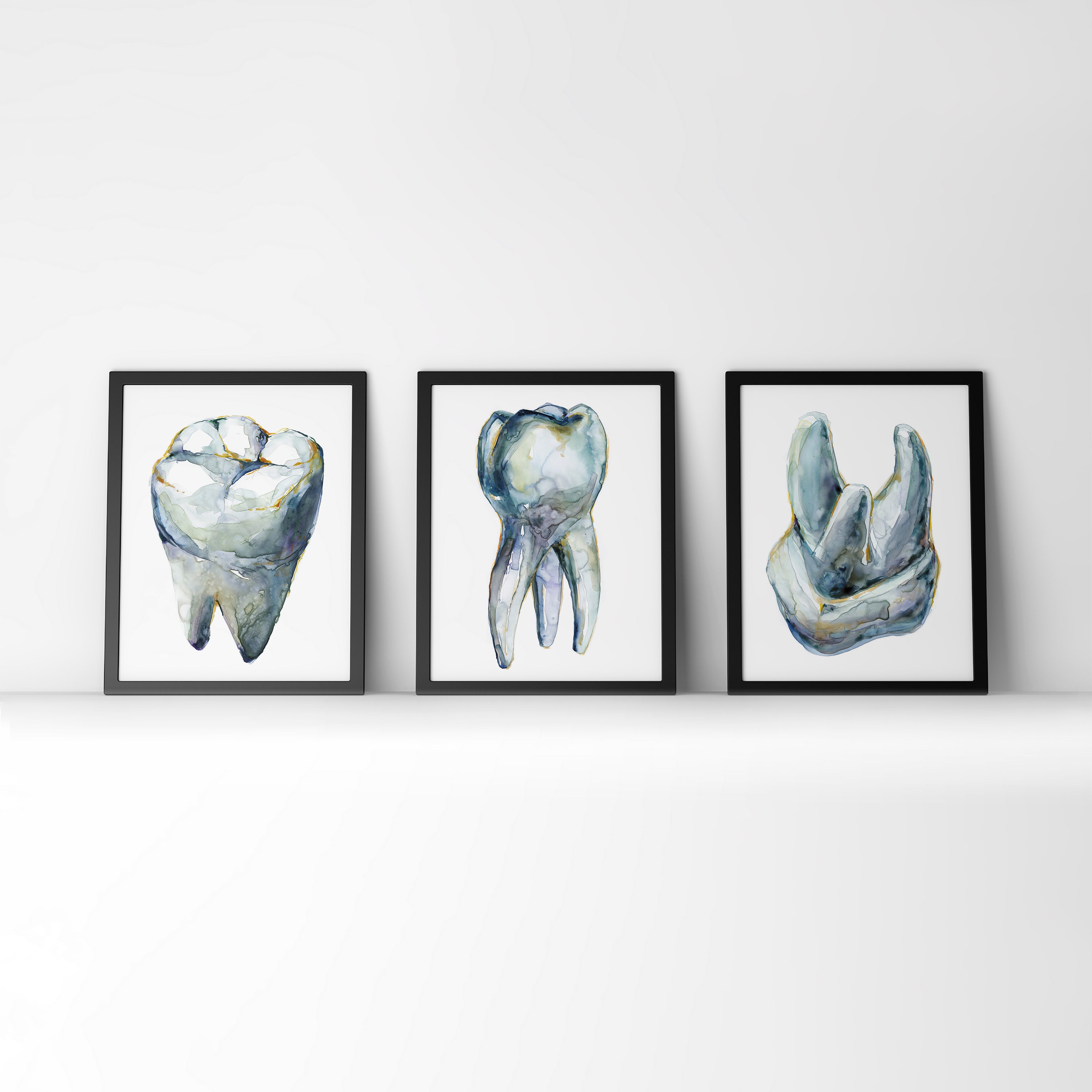 Molar Views Dental Watercolor Print Set