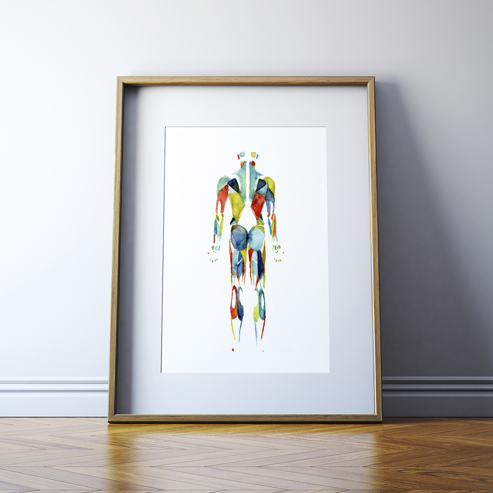 Muscular System in Red, Green and Blue Watercolor  Print