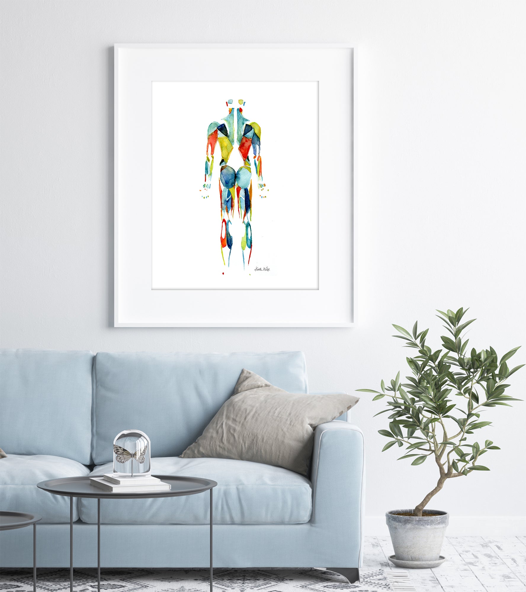 Muscular System in Red, Green and Blue Watercolor  Print