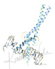 MYC Watercolor Print