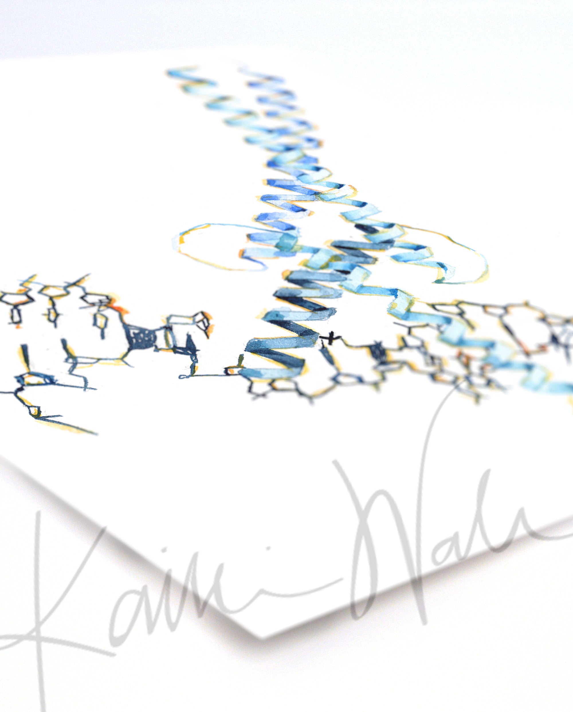 MYC Watercolor Print
