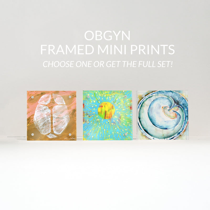 Three framed mini anatomy art doctor gift prints on a white background with text 'OBGYN FRAMED MINI PRINTS' above.