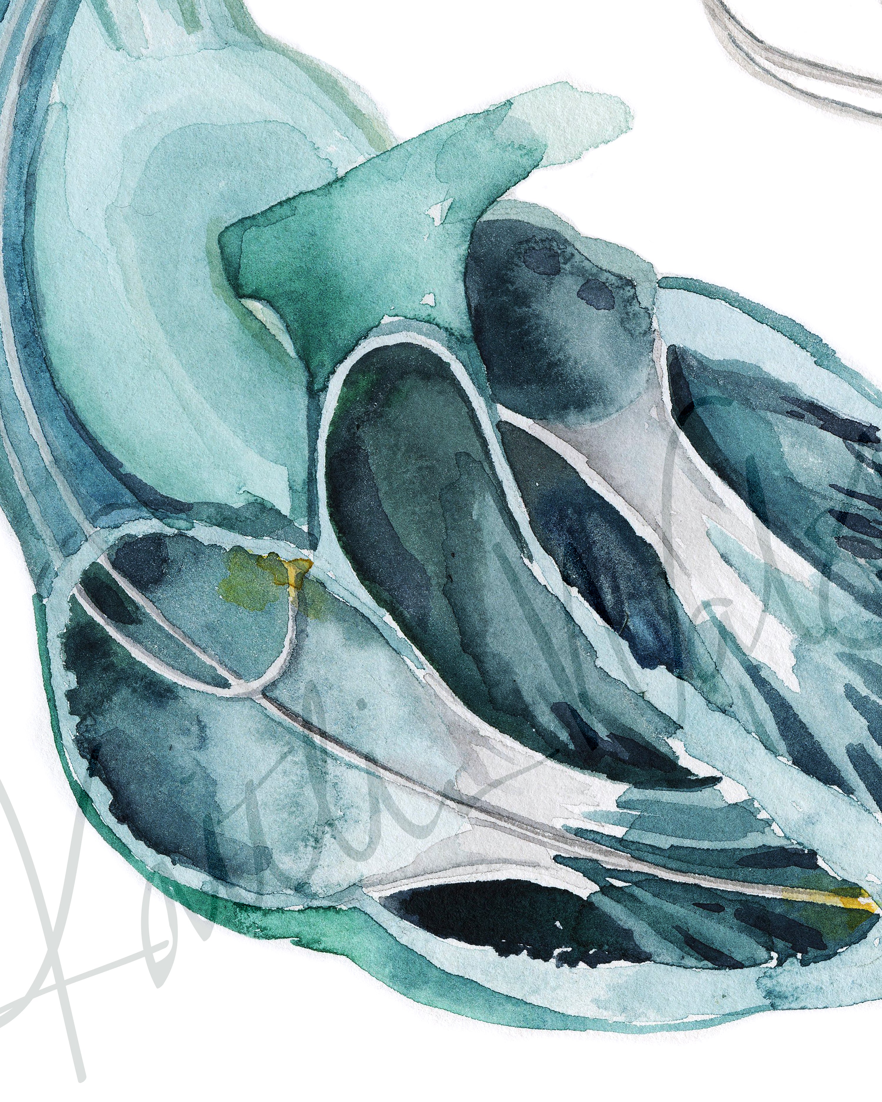 Anatomical Heart and Pacemaker Watercolor Art Print