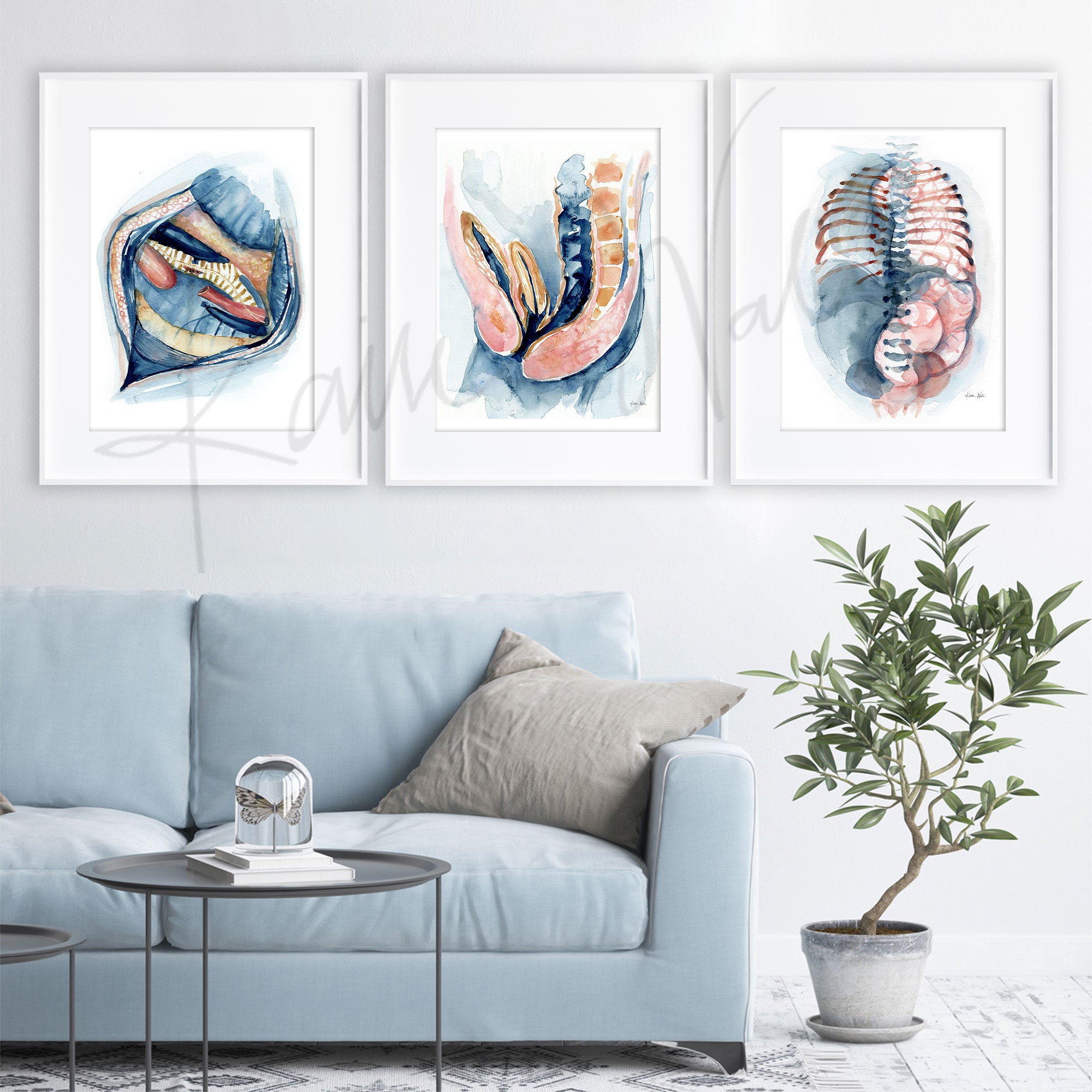 Framed watercolor painting set of three pediatric surgery paintings. The painting is hanging over a blue couch.