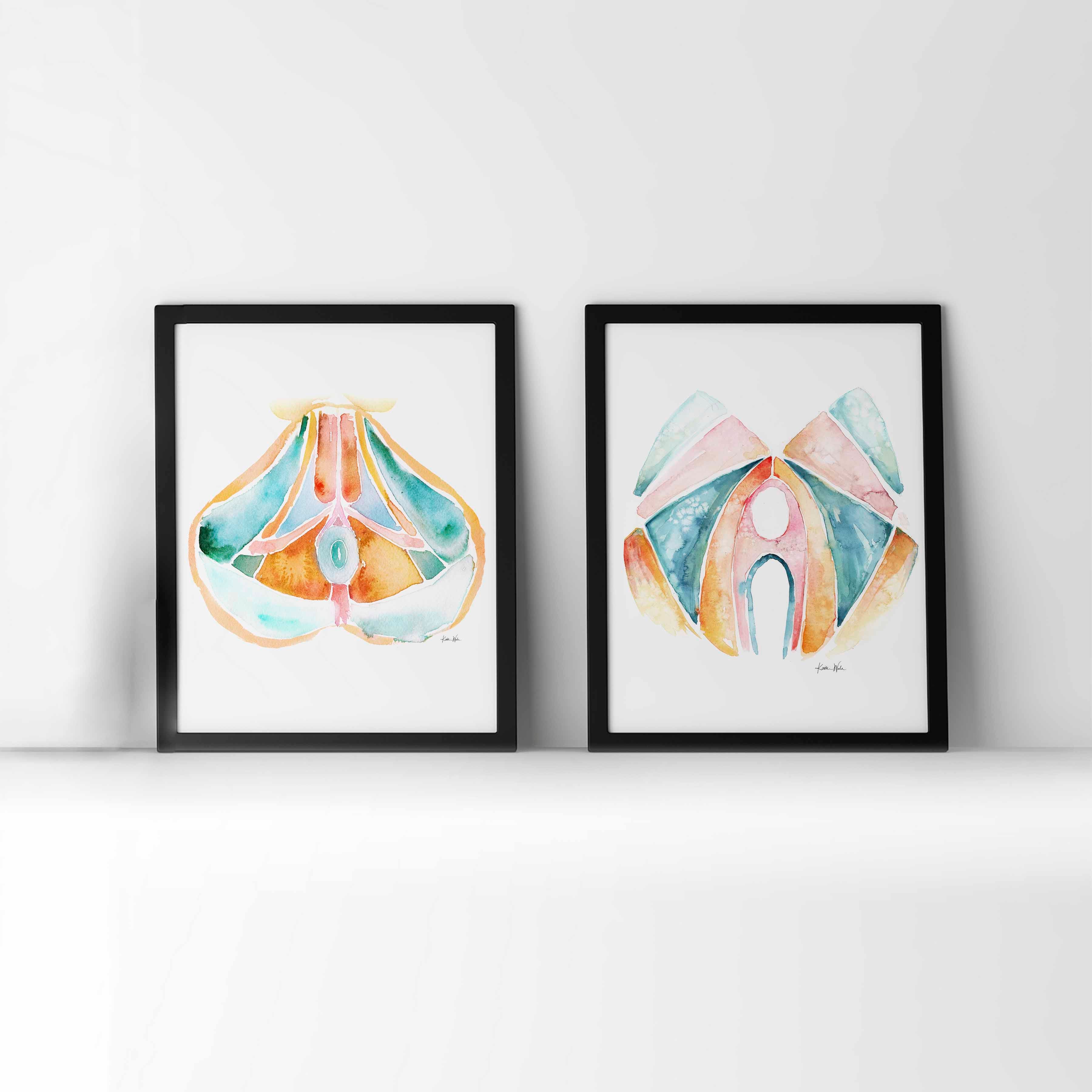 Female and Male Pelvic Floor Set of Two Watercolor Prints
