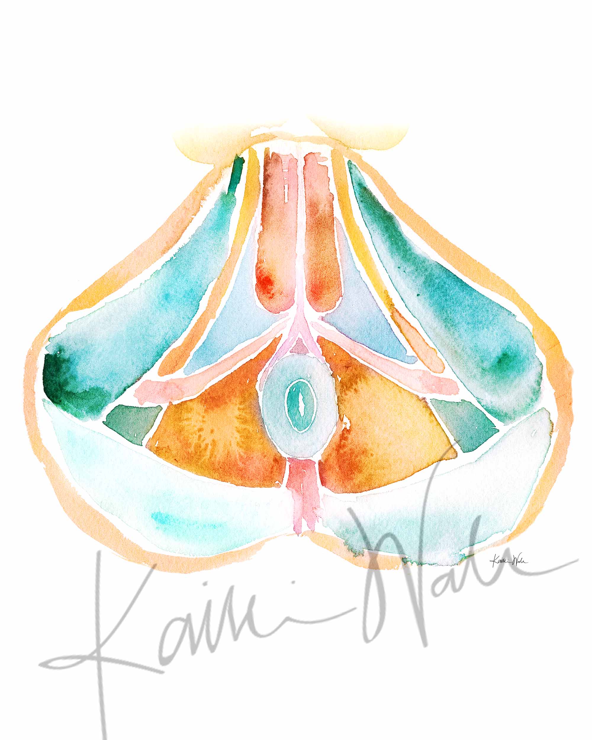 Female and Male Pelvic Floor Set of Two Watercolor Prints