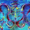 Bones and Joints Desktop Anatomy Art - Acrylic Framed Mini Print