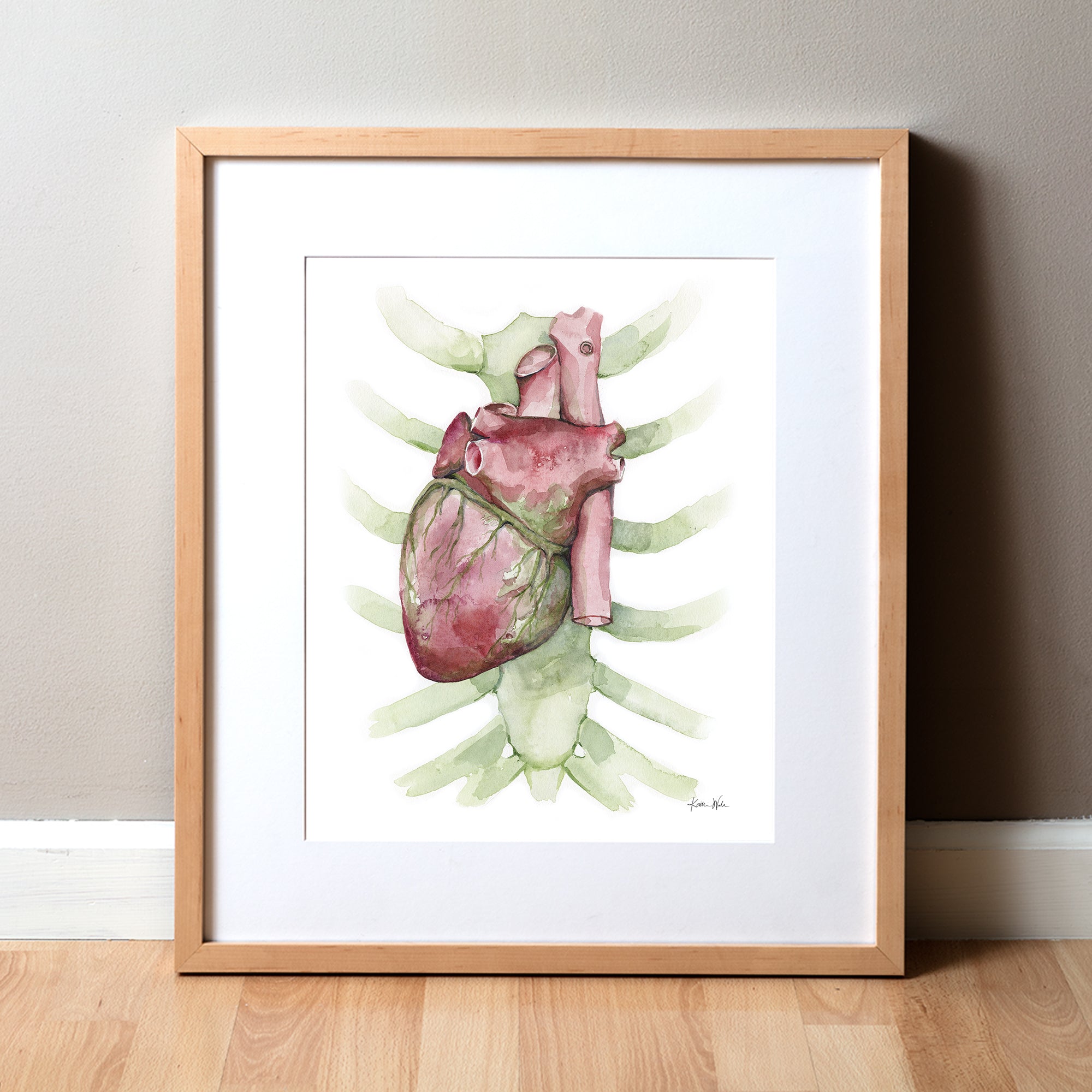Posterior Heart Watercolor Print