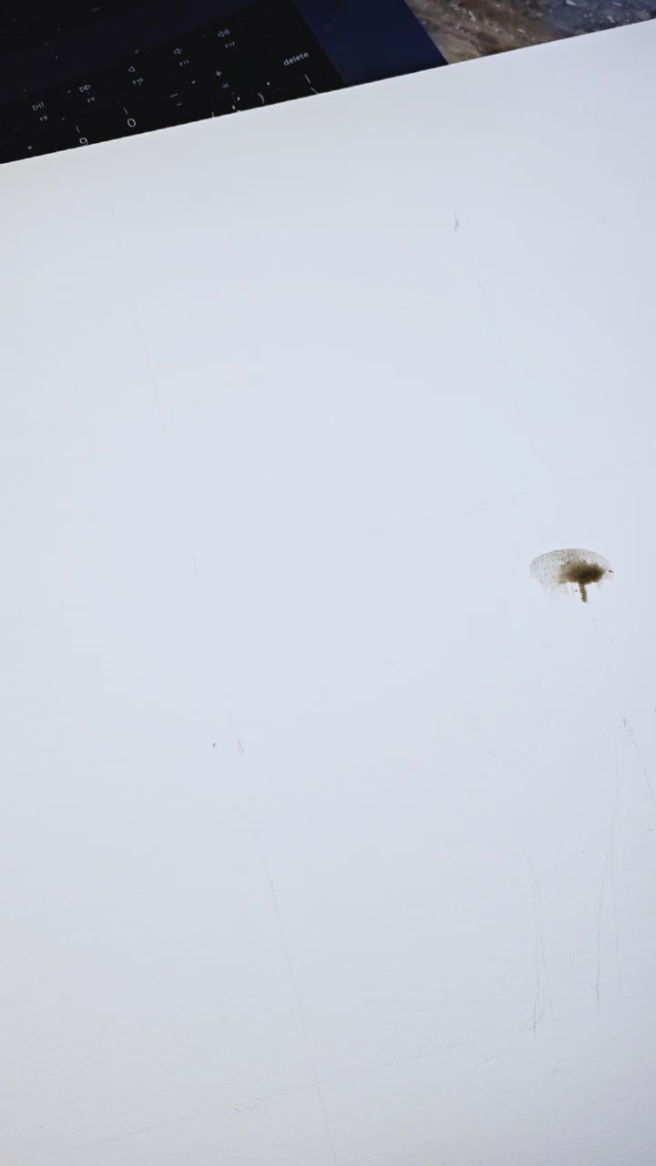 Lung and Bronchiole Watercolor Anatomy Art Print