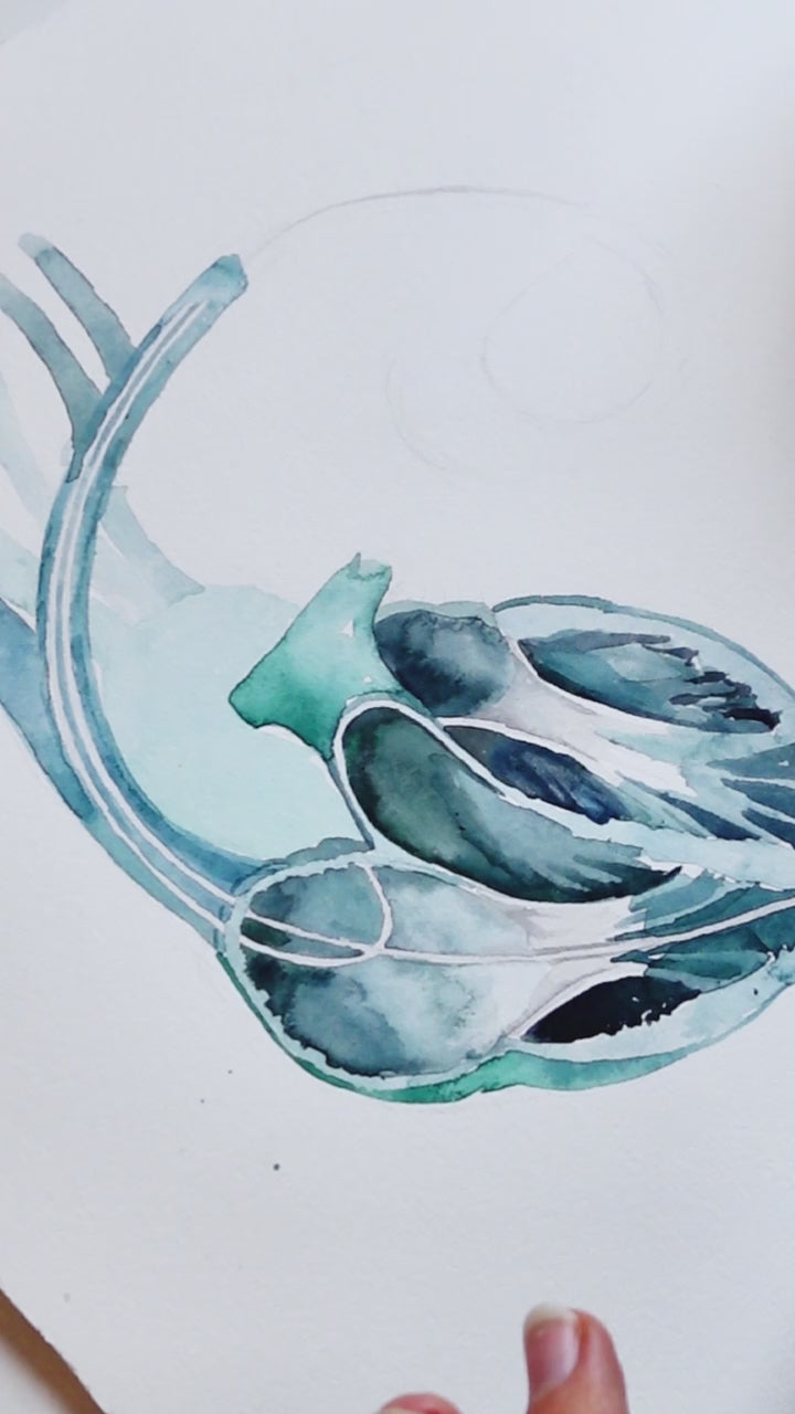 Anatomical Heart and Pacemaker Watercolor Art Print