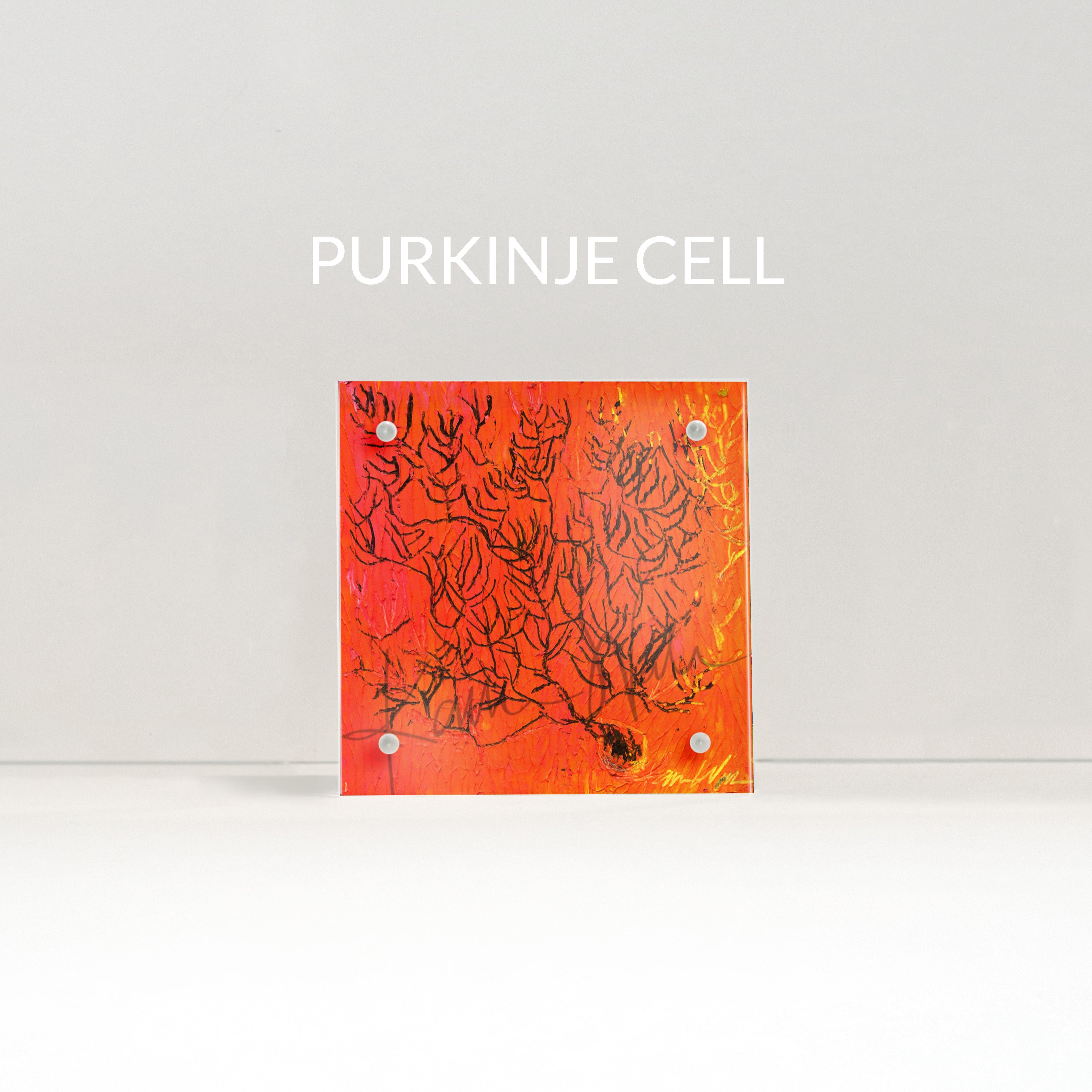 Neuroanatomy Desktop Anatomy Art - Acrylic Framed Mini Print