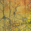 Pyramidal Neurons Watercolor Print