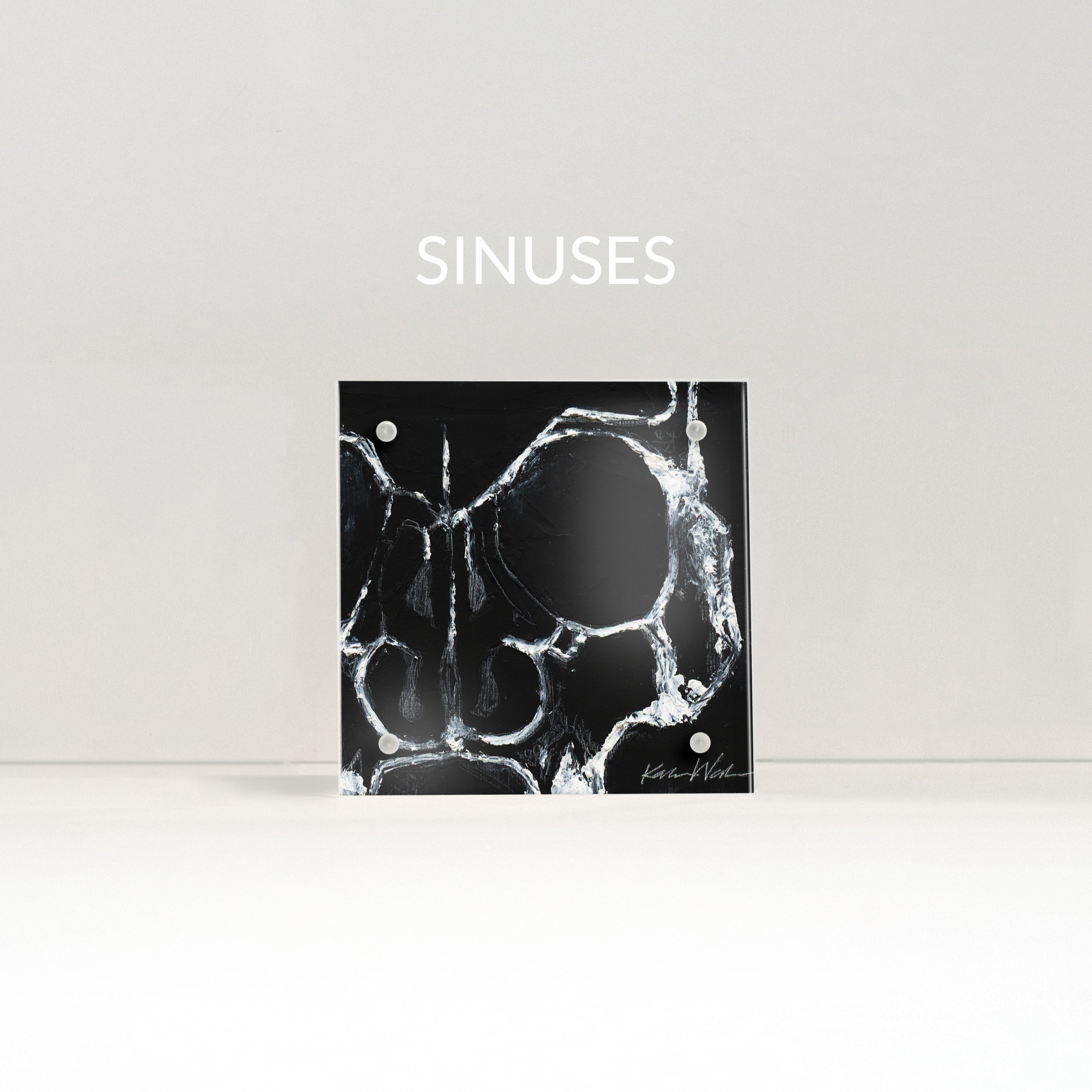 Skull Desktop Anatomy Art - Acrylic Framed Mini Print