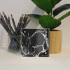 Skull Desktop Anatomy Art - Acrylic Framed Mini Print