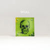 Skull Desktop Anatomy Art - Acrylic Framed Mini Print
