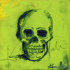 Skull Desktop Anatomy Art - Acrylic Framed Mini Print