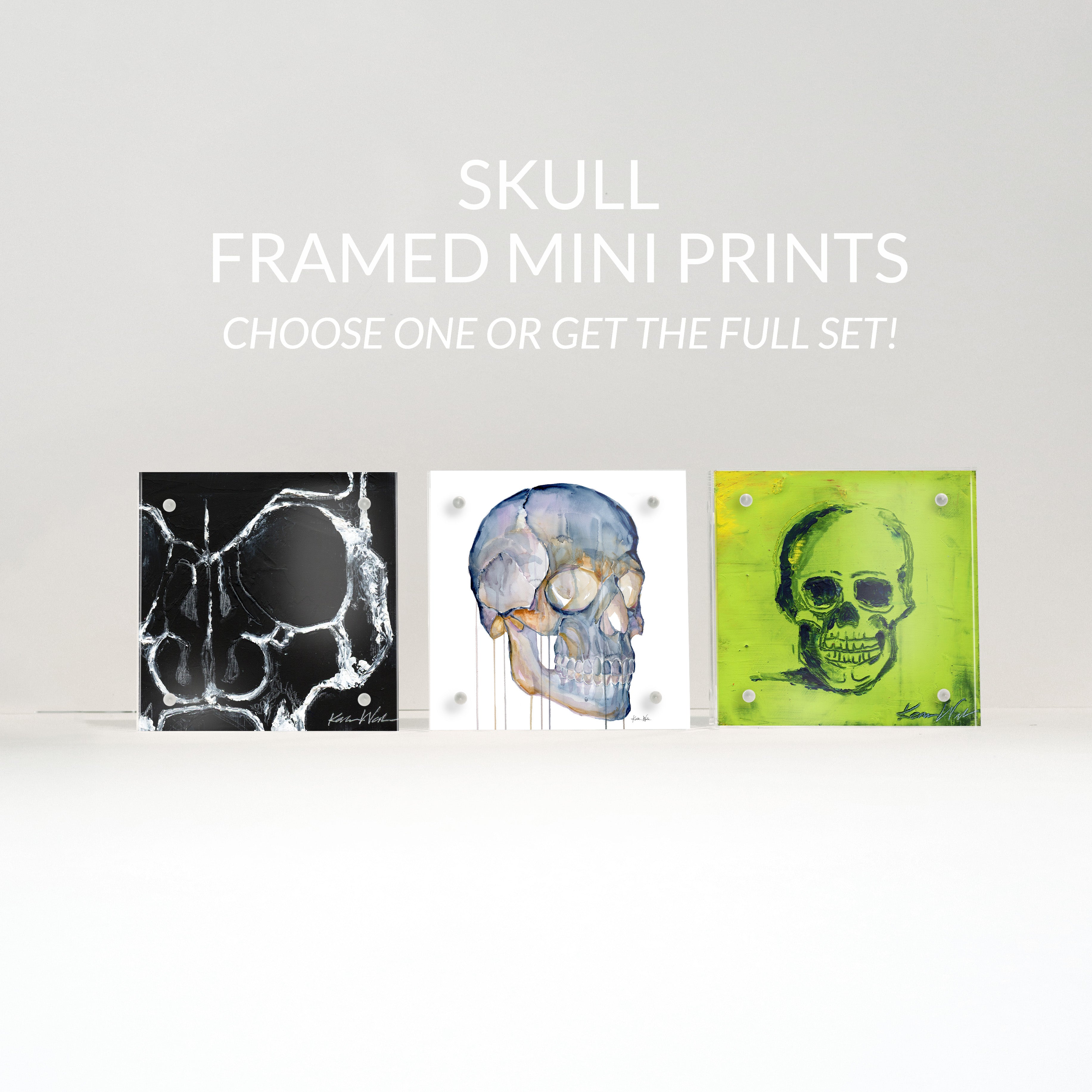 Three mini abstract anatomy art prints framed showing skull anatomy. Ideal gift for a doctor's office art.