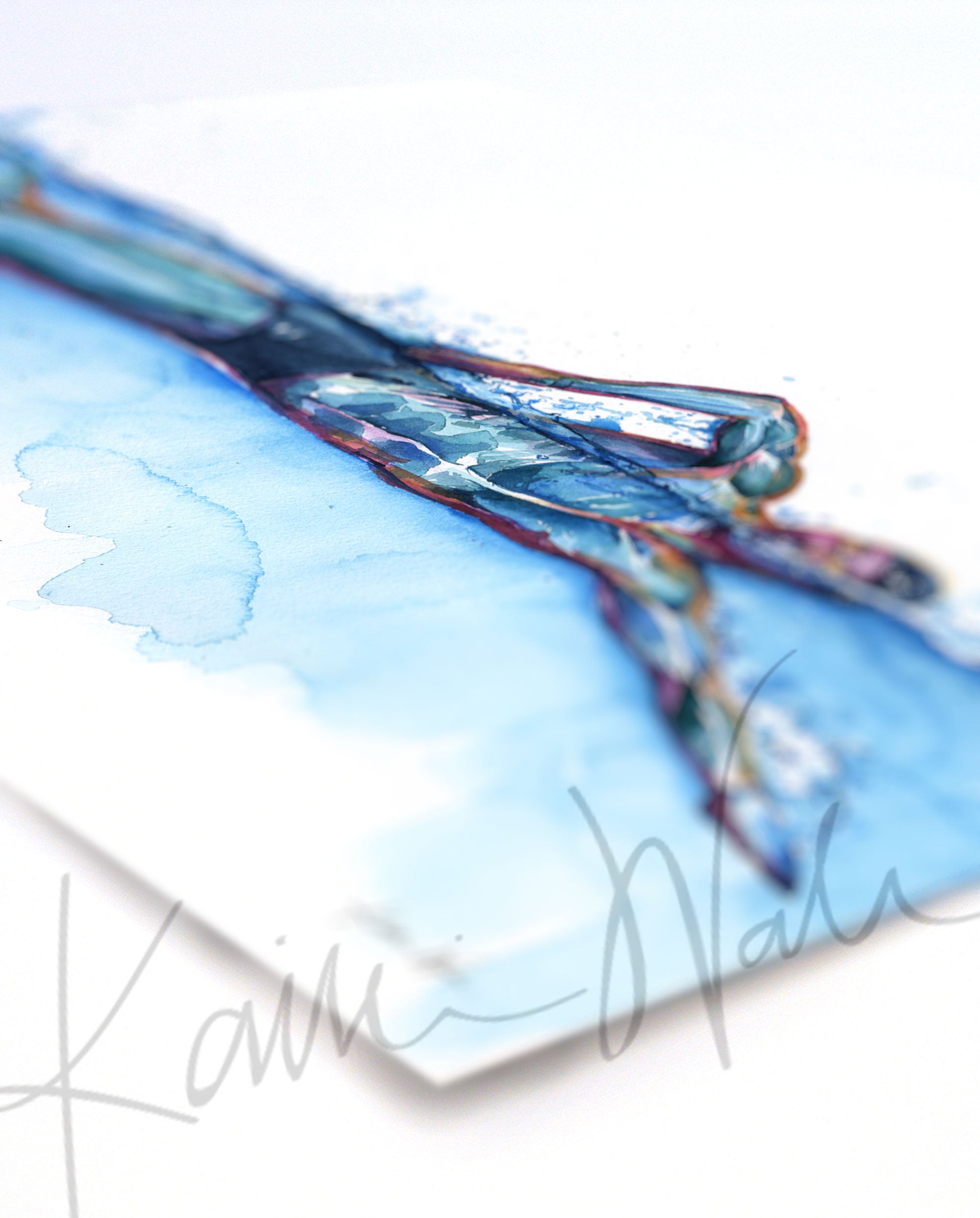 Angled view of a watercolor painting of a swimmer in mid stroke showing the swimmer’s muscular anatomy.