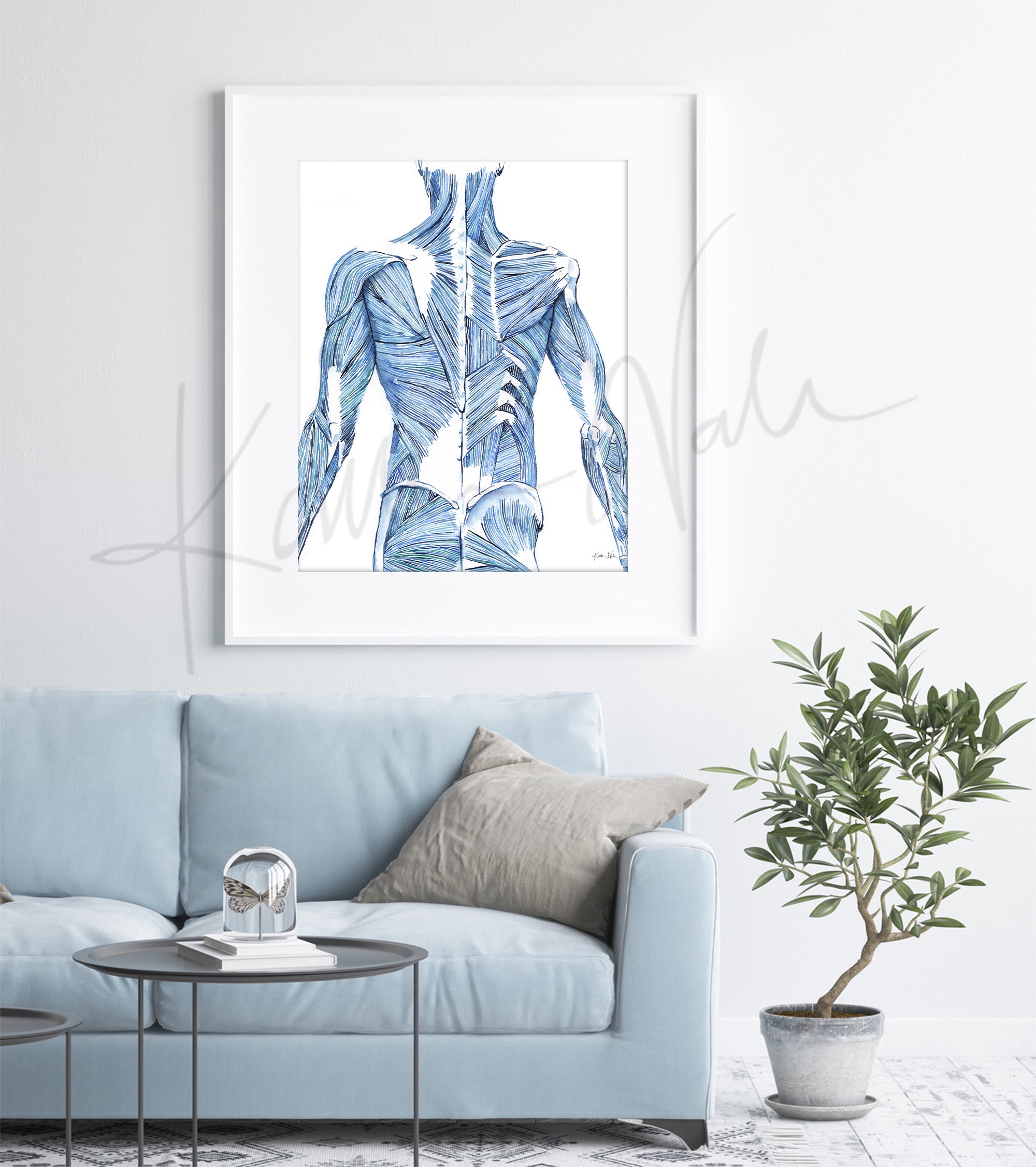 Striated Back Muscles Watercolor Print