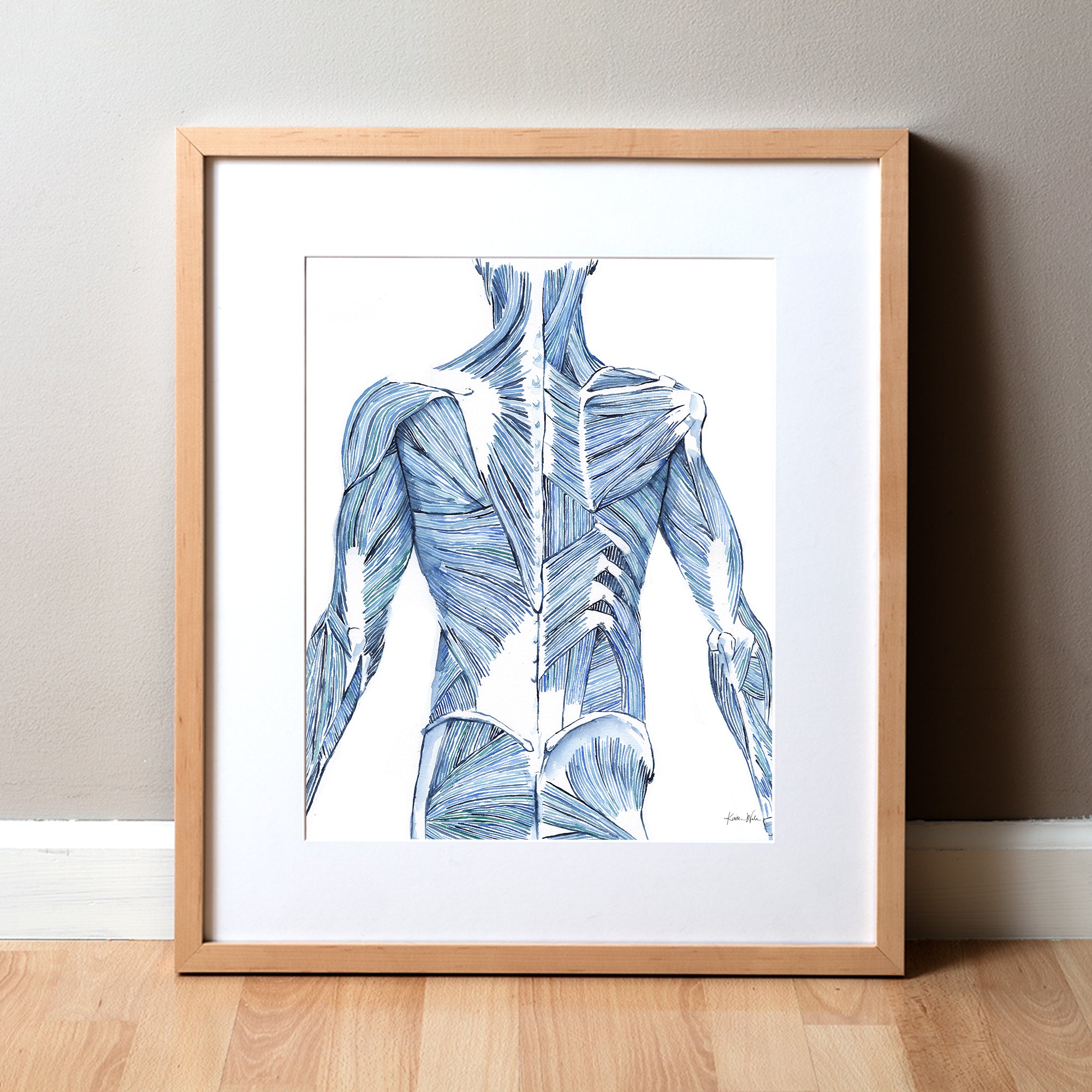 Striated Back Muscles Watercolor Print