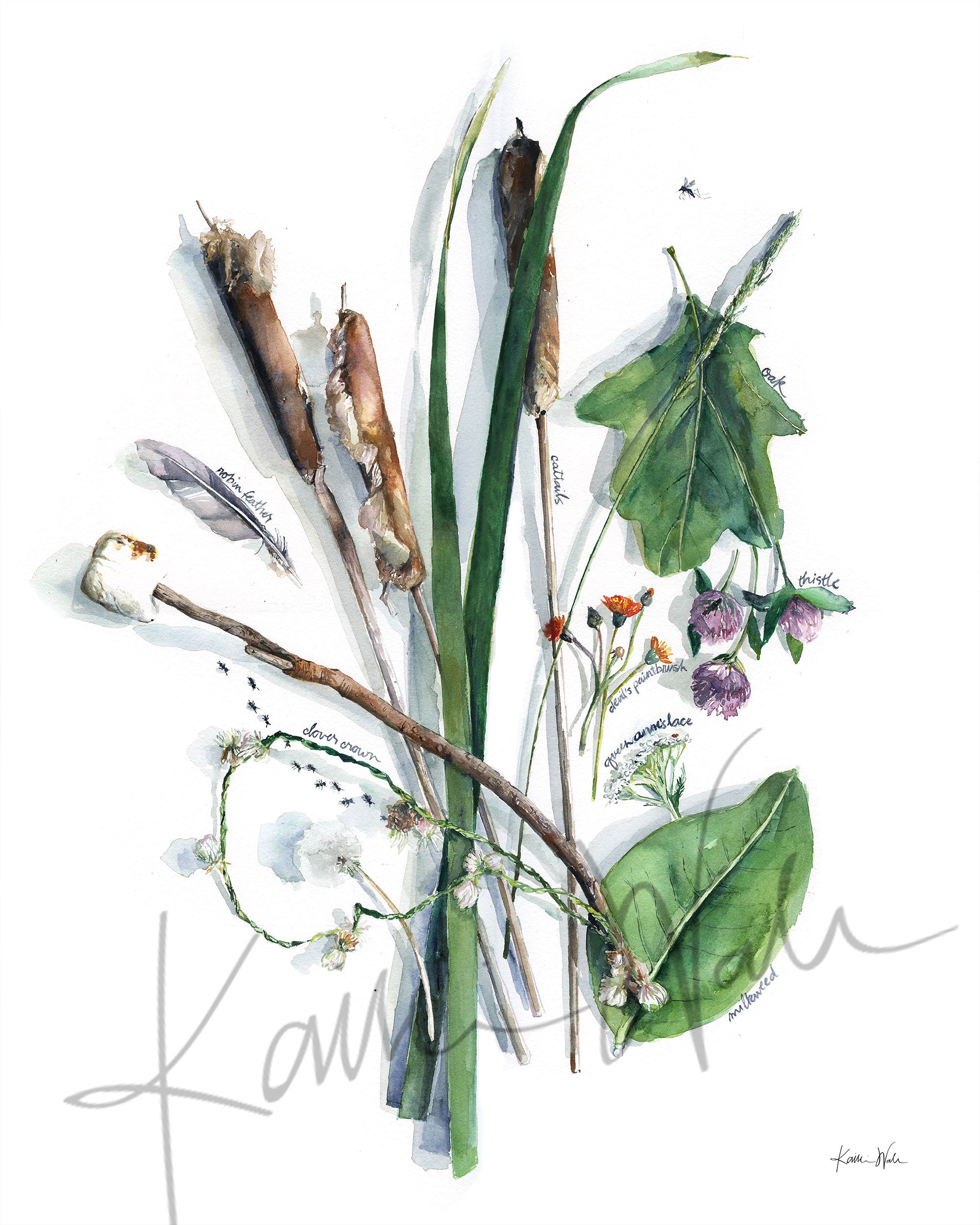 Unframed watercolor painting of a collection of summer foraged items.