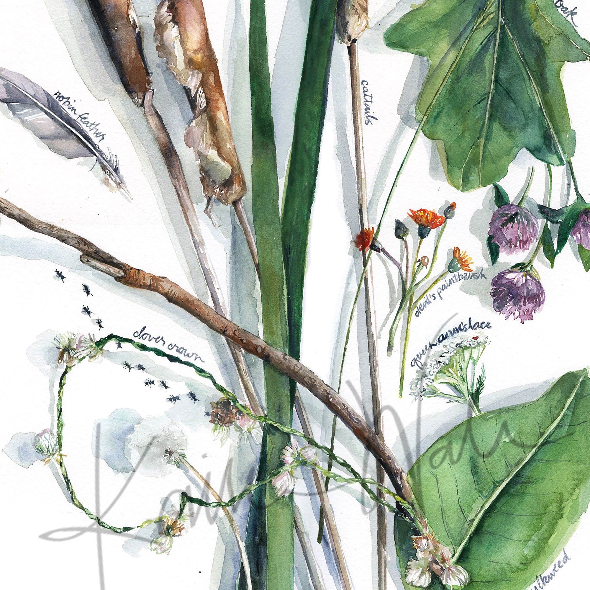 Zoomed in view of a watercolor painting of a collection of summer foraged items.