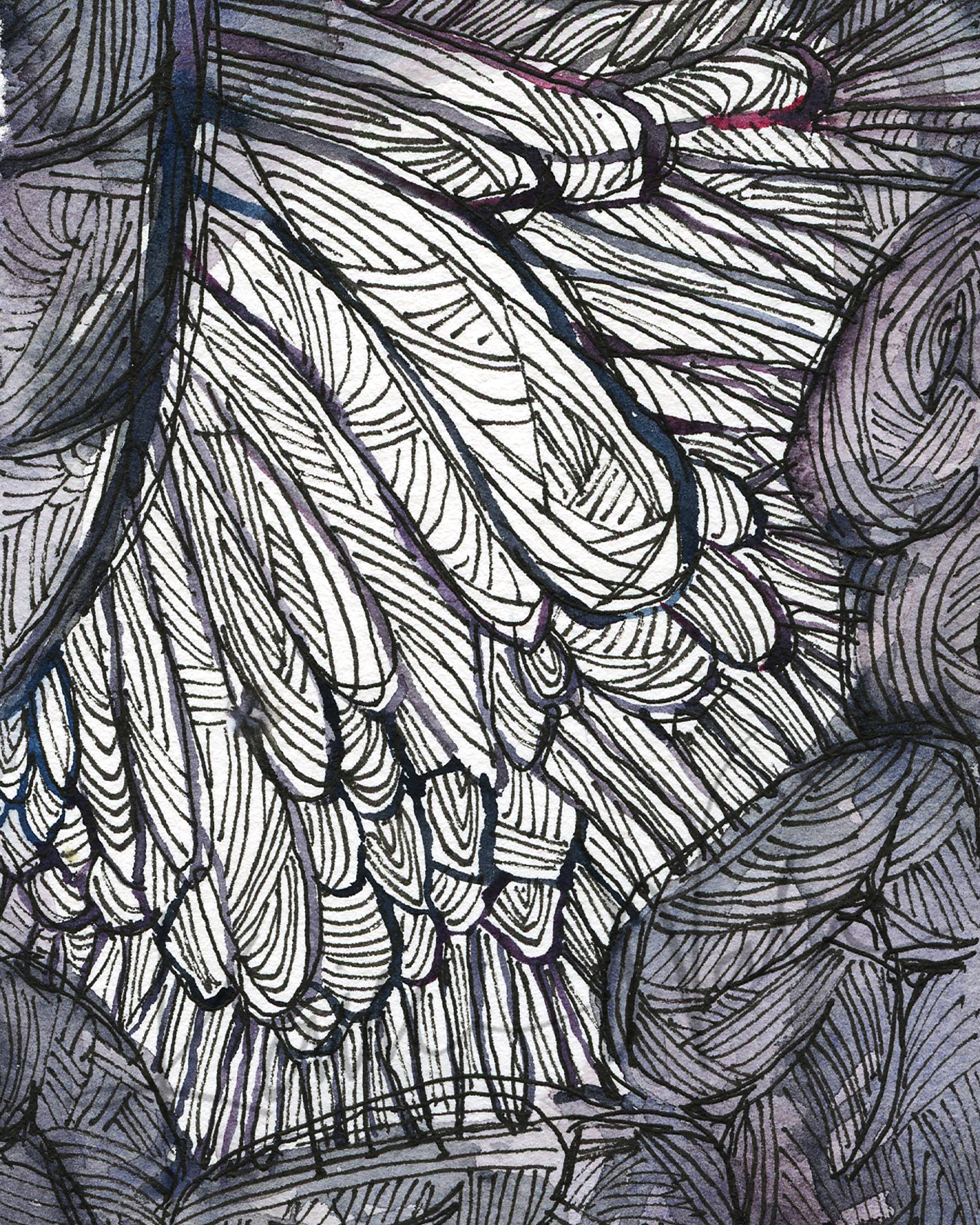 Superior Mesenteric Artery Watercolor Print