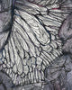 Superior Mesenteric Artery Watercolor Print